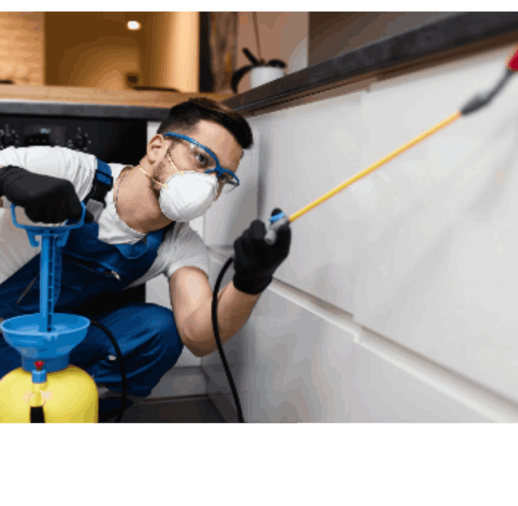 Pest Control
